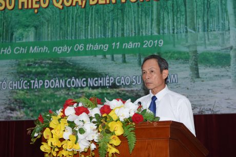 Tập trung phát huy lợi thế của ngành cao su Việt Nam